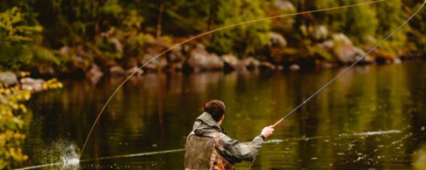 钓草鱼用什么饵最好