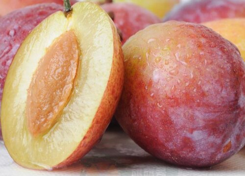 大理水果有哪些