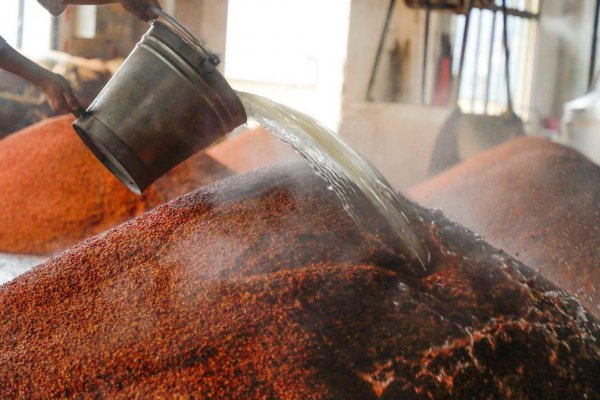 端午制曲重阳下沙什么意思