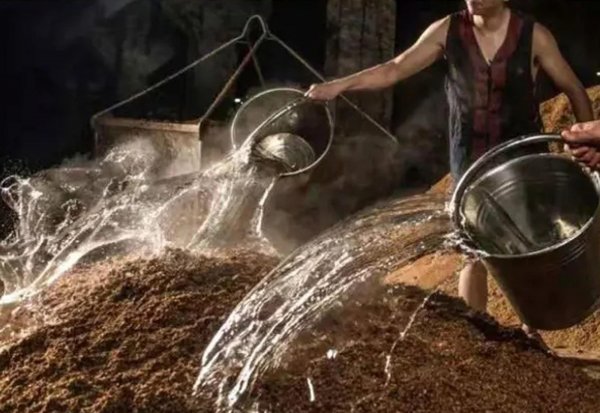 五粮液是哪五种粮食