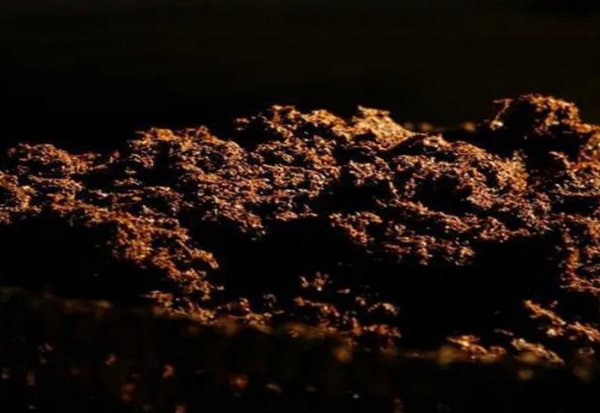 五粮液是哪五种粮食