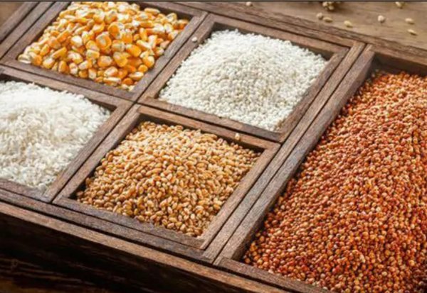 五粮液是哪五种粮食