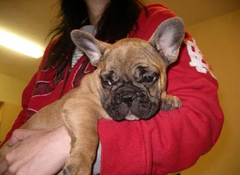 养法斗最大的忌讳是什么