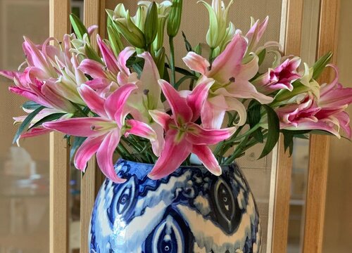 醒花要不要去掉叶子