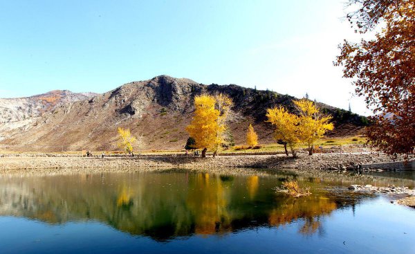 驼铃声声响起是什么歌曲