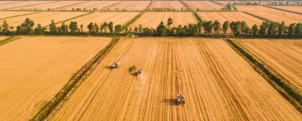 平江县低保申请办理流程