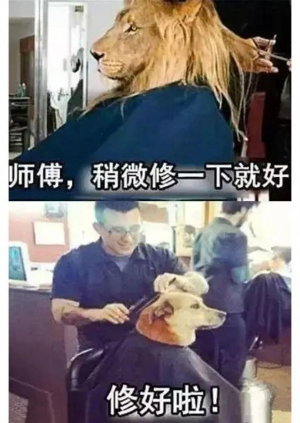 发型师tony什么梗