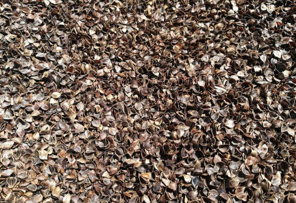 什么材质的枕芯最好