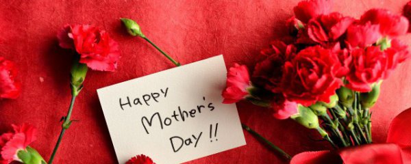 康乃馨几月份开花