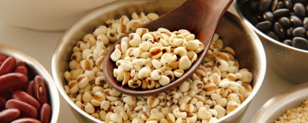 喝薏米水可以减肥吗