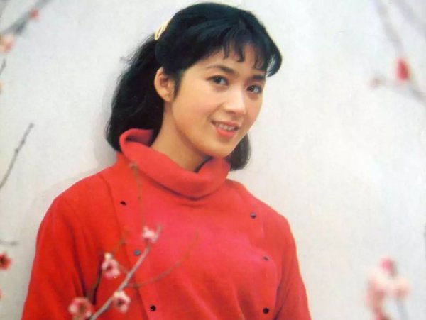 龚雪个人资料简介