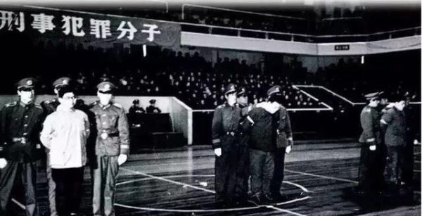 龚雪个人资料简介