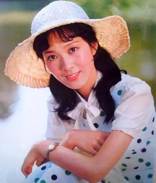 龚雪个人资料简介