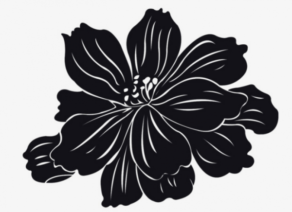 黑色莲花代表什么象征意义