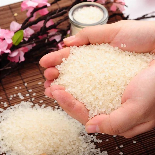 什么米好吃又香又软又便宜