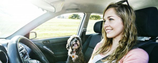 汽车没劲用什么方法解决