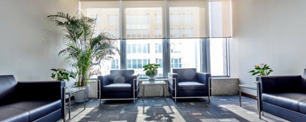 狭窄房间放什么植物招财