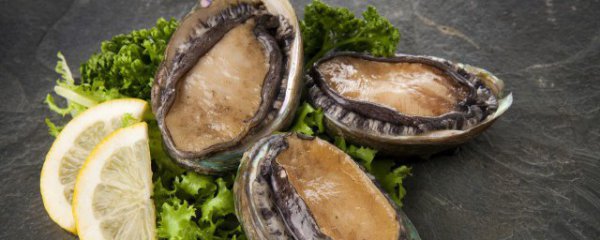 鲍鱼放盐水里能活吗