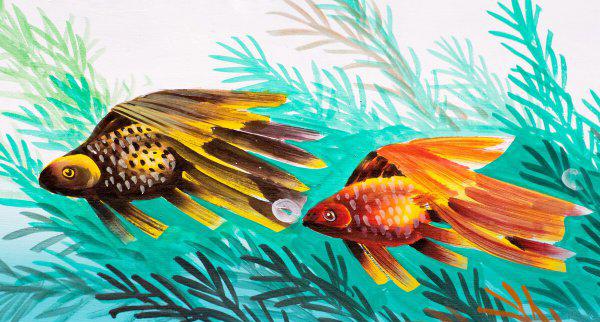 金鱼可以几天不喂食