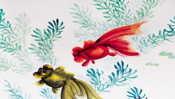 金鱼可以几天不喂食