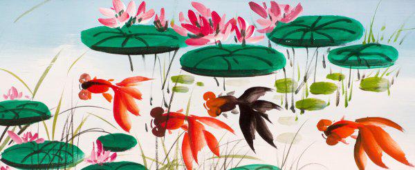 金鱼可以几天不喂食