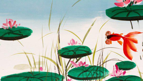 金鱼可以几天不喂食