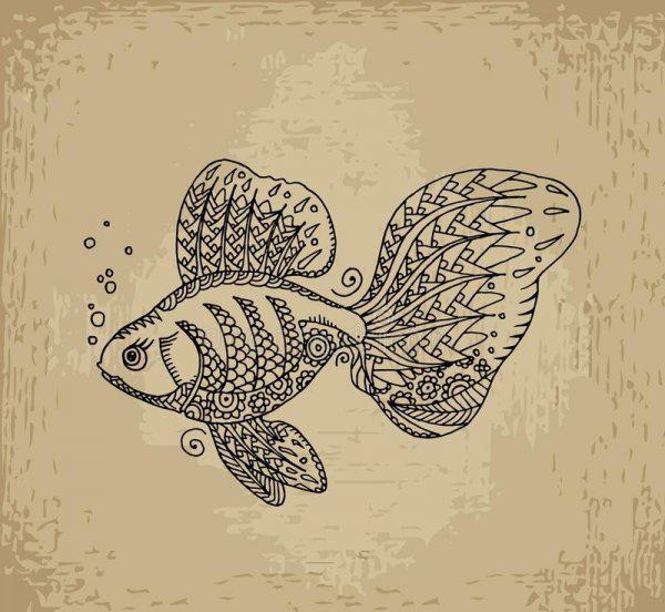 金鱼可以几天不喂食