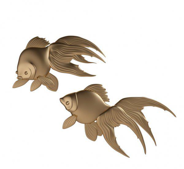 金鱼可以几天不喂食