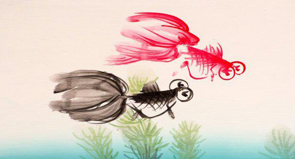 金鱼可以几天不喂食