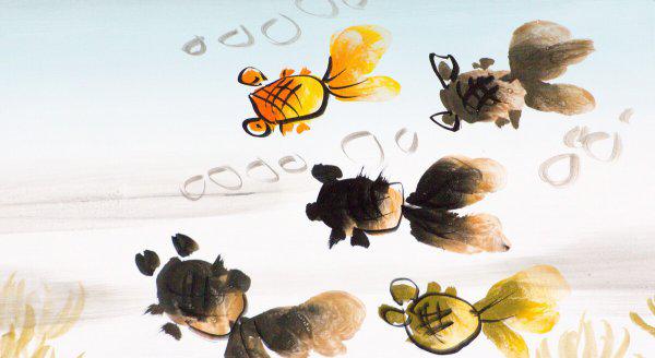 金鱼可以几天不喂食