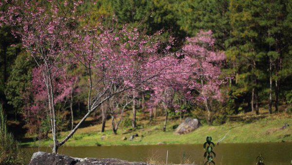 一段感情没结果又放不下