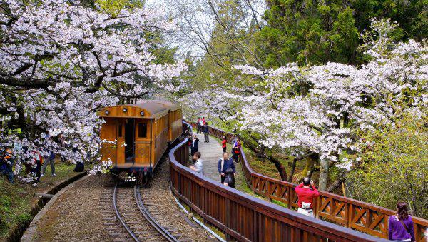 一段感情没结果又放不下