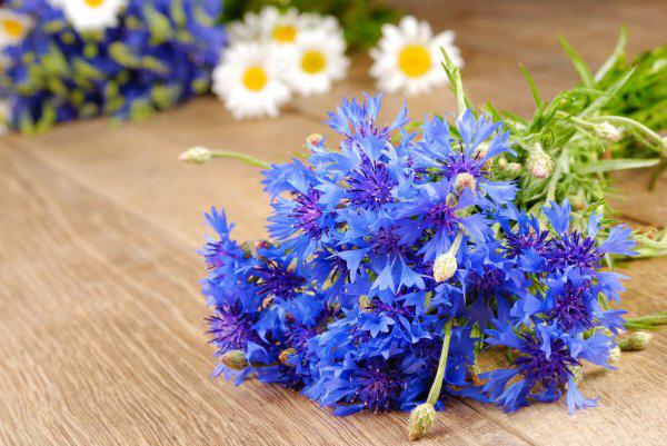 一段感情没结果又放不下