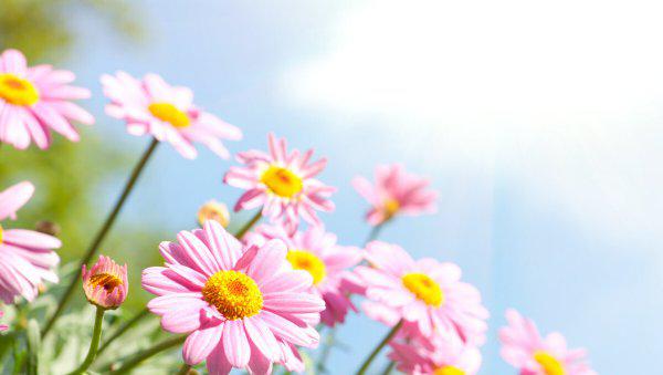 一段感情没结果又放不下