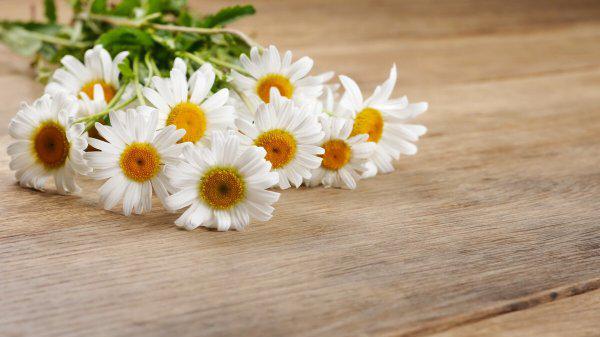 一段感情没结果又放不下