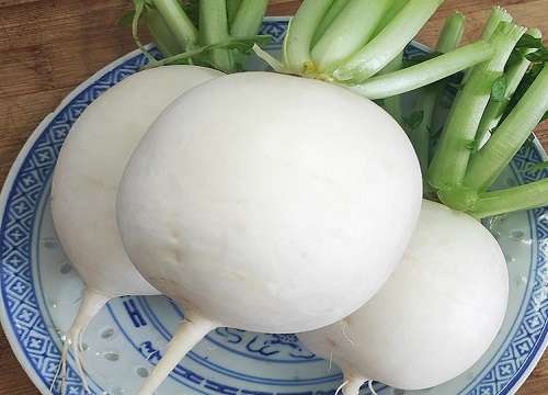 白萝卜的种植方法
