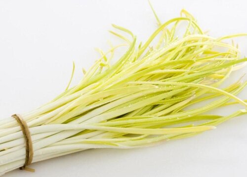 韭黄可以生吃吗