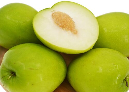 牛奶枣什么季节成熟