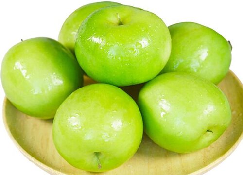 牛奶枣什么季节成熟