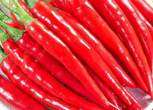 尖椒的生长周期是多长时间