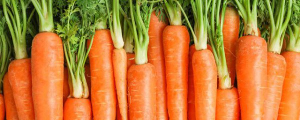 东北什么菜炒肉好吃