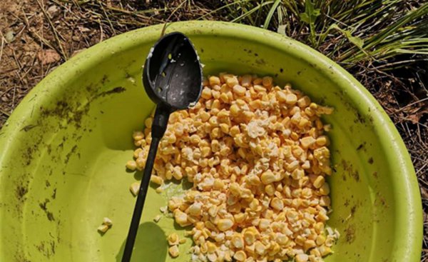 春天钓鱼用什么饵料最好