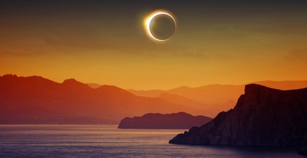 注定跟狮子座是夫妻的星座