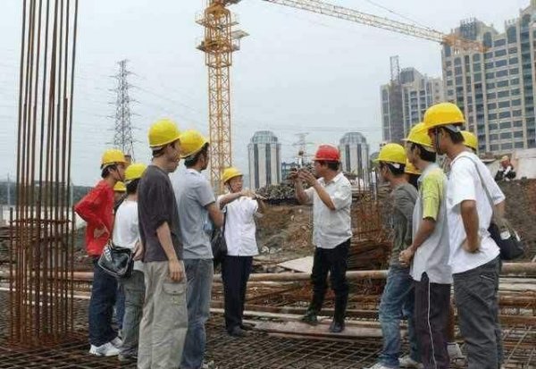 大学里最累的几个专业