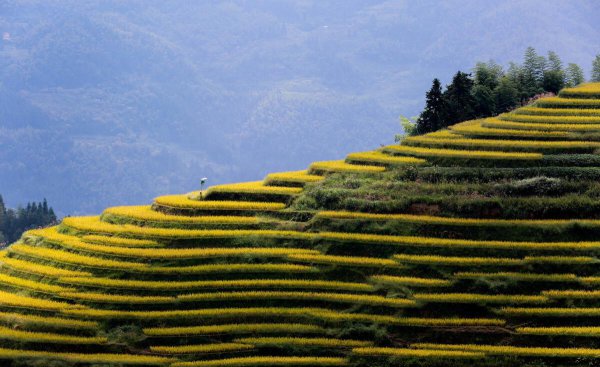新化县属于湖南哪个市