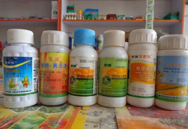 什么药可以把草连根打死