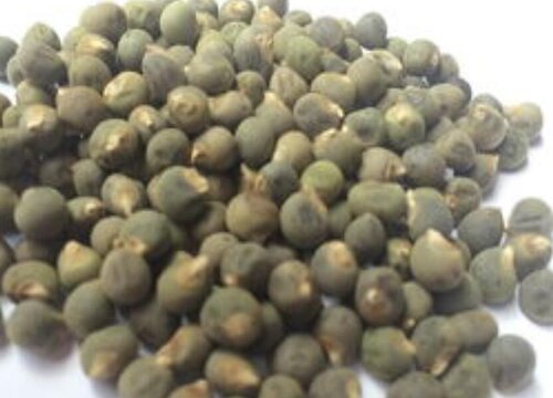 秋葵籽的功效与作用及食用方法