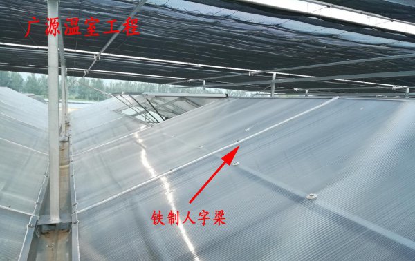 玻璃大棚的造价多少钱一平方