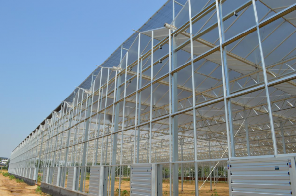 玻璃大棚的造价多少钱一平方