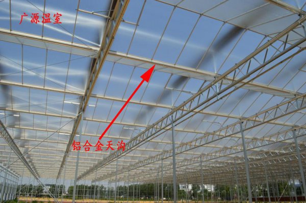 玻璃大棚的造价多少钱一平方